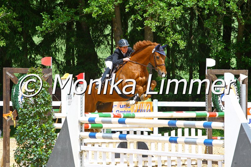 006M7223_Spring L_e.JPG